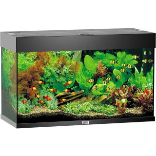 Juwel Akvaarium Rio 125 LED (must-125L)