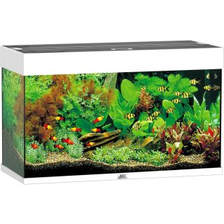 Juwel Akvaarium Rio 125 LED (valge-125L)