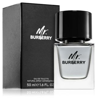 Burberry Mr. Burberry Perfume EDT 50 ml (3614229840117)