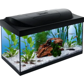 Akvaarium Tetra Starter Line LED 54L