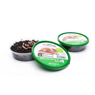 Vihmauss Ekagro DENDROBENA nr4