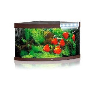 Juwel Akvaarium Trigon 350 LED Dark Wood (pruun-350L)