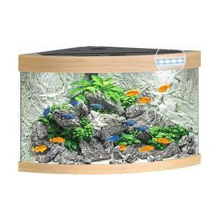 Juwel Akvaarium Trigon 190 LED (hele puit-190L)