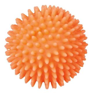 Trixie Koera mänguasi pall okadega v 7.5cm