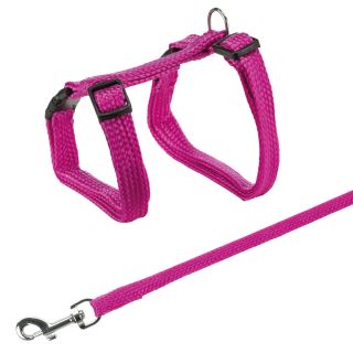 Trixie Kassi traksid jalutusrihmaga 22-42cm/10mm 1.25m