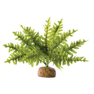 Kunsttaim terraariumisse Exo Terra Rainforest Ground Plants Boston Fern Small PT-2990
