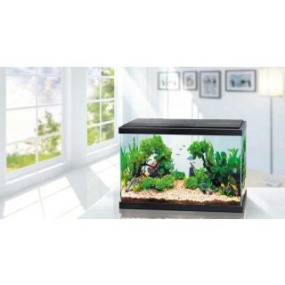 Akvaarium WONDER PALACE WP40 37.8L 515x261x319mm
