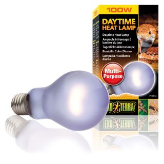 Exo Terra Terrariumi lamp Sun Glo A21 100w PT2112