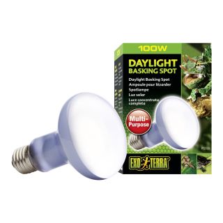 Exo Terra Terrariumi lamp Sun Glo R25 100w PT2133