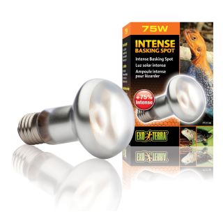 Exo Terra Terrariumi lamp Sun Glo S20 75w PT2136