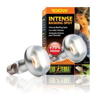 Exo Terra Terrariumi lamp Sun Glo S25 100w PT2138
