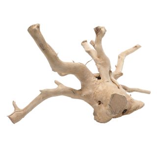 Akvaariumi kuivpuu Pulido M 30-43cm pruun
