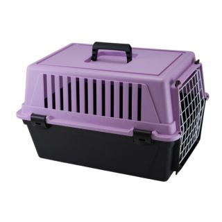 Transpordiboks Atlas 20 EL Fucsia