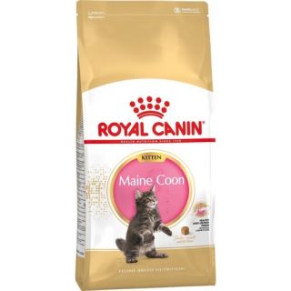 Royal Canin FHN MAINECOON Kitten