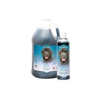 Bio-Groom Ultra Black Shampoo