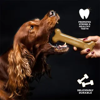 LARGE TASTY BONE maitsekalt...