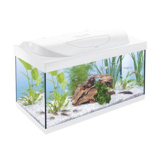 Akvaarium Tetra Starter Line 54 L LED valge