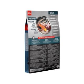 ORIJEN GUARDIAN 8 CAT 4,5 Kg