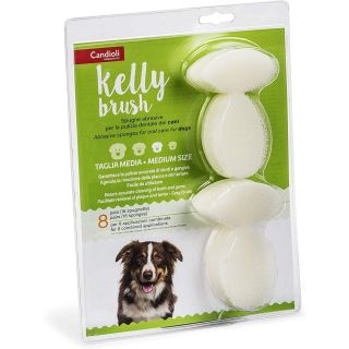 CANDIOLI Kelly Brush Med. N16 (hambahoolduskäsnad)