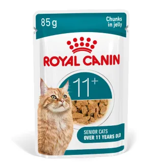 Royal Canin FHN C Ageing 11+ Jelly 12x85g