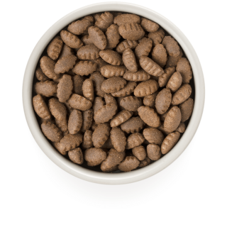 Grandorf Dog - Turkey - Adult Maxi Breeds - 10 Kg