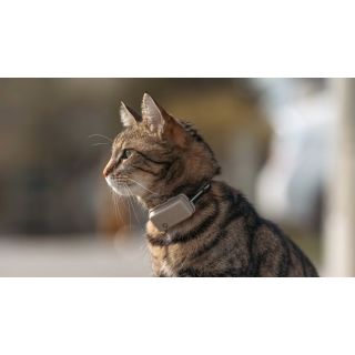 Tractive GPS CAT with collar coffee