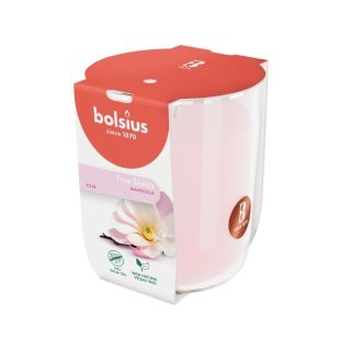 Bolsius True Scents Scented Candle 80x73mm Magnolia (37930304)