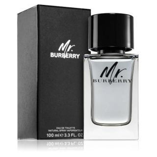 Burberry Mr. Burberry Perfume EDT 100 ml (3614229840124)