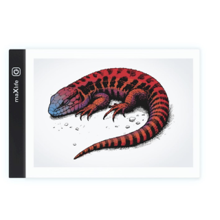 Maxlife MXGT-01 Illuminated LED board (MXGT-01)