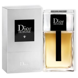 Dior Homme 2020 Perfume EDT 100 ml (3348901419147)