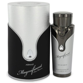 Armaf Magnificent Pour Homme Perfume EDP 100 ml (6294015108941)