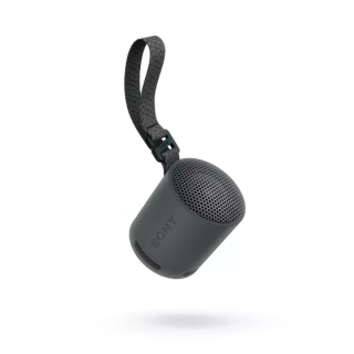 Sony SRS-XB100 Portable Speaker (SRSXB100B.CE7)