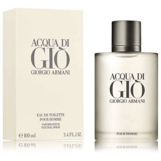 Armani Acqua di Gio Pour Homme Perfume EDT 100 ml (3360372728313)