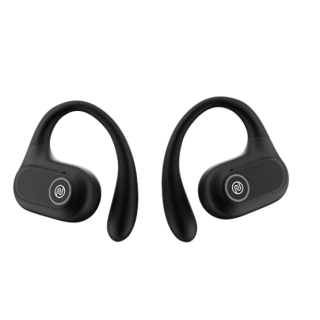 Noise Pure Pods TWS Earphones (Pure Pods Black)