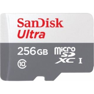 Sandisk Memory MicroSDXC 256GB Memory Card (SDSQUNR-256G-GN3MN)