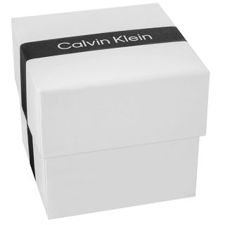Calvin Klein Men's watch (25200266)