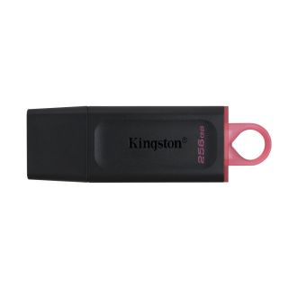Kingston 256GB USB 3.2 Gen1 DataTraveler Flash drive (DTX/256GB)