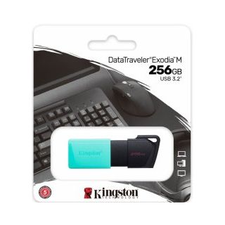 Kingston DataTraveller Exodia M 256GB Flash memory (DTXM/256GB)