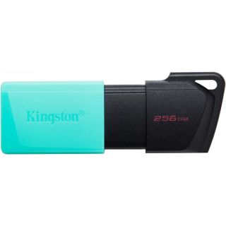 Kingston DataTraveller Exodia M 256GB Flash memory (DTXM/256GB)