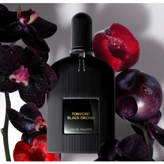 Tom Ford Black Orchid Perfume EDT 50 ml (888066149044)