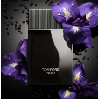 Tom Ford Noir Perfume EDP 100 ml (888066015509)