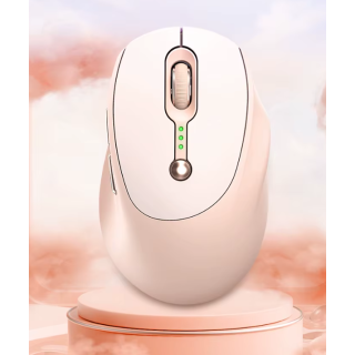 RoGer Q7 Wireless Rechargeable Mouse DPI 1600 /  Type-C (ROQ7-PN)