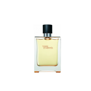 Hermes Terre D'Hermes Lotion ASW 100 ml (3346130009726)