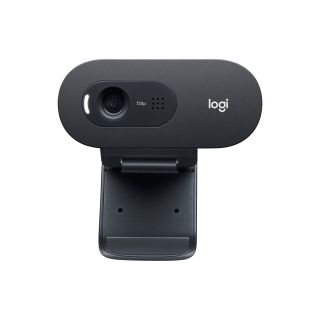 Logitech C505e  HD Business Webcam (960-0013724)