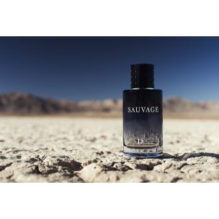 Christian Dior Sauvage Perfume EDT 60ml (3348901250153)