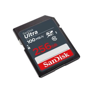 SanDisk Ultra SDXC UHS-I Memory card 256GB (SDSDUNR-256G-GN3IN)