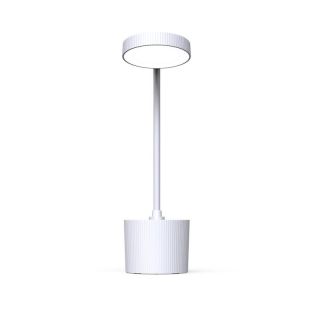 Forever Light PURE FLB-20 Desk LED lamp (FLB-20)