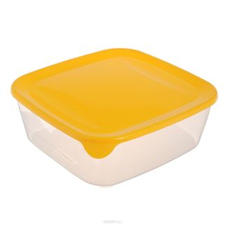 Curver Fresh&Go Food container 1.7L (0800561007)