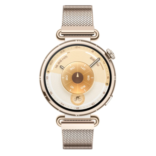 Huawei Watch GT6 Smartwatch 41mm Gold (55020FTP)