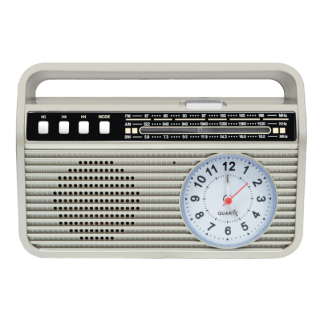 Setty MD-500BT Bluetooth Speaker with radio (MD-500BT)